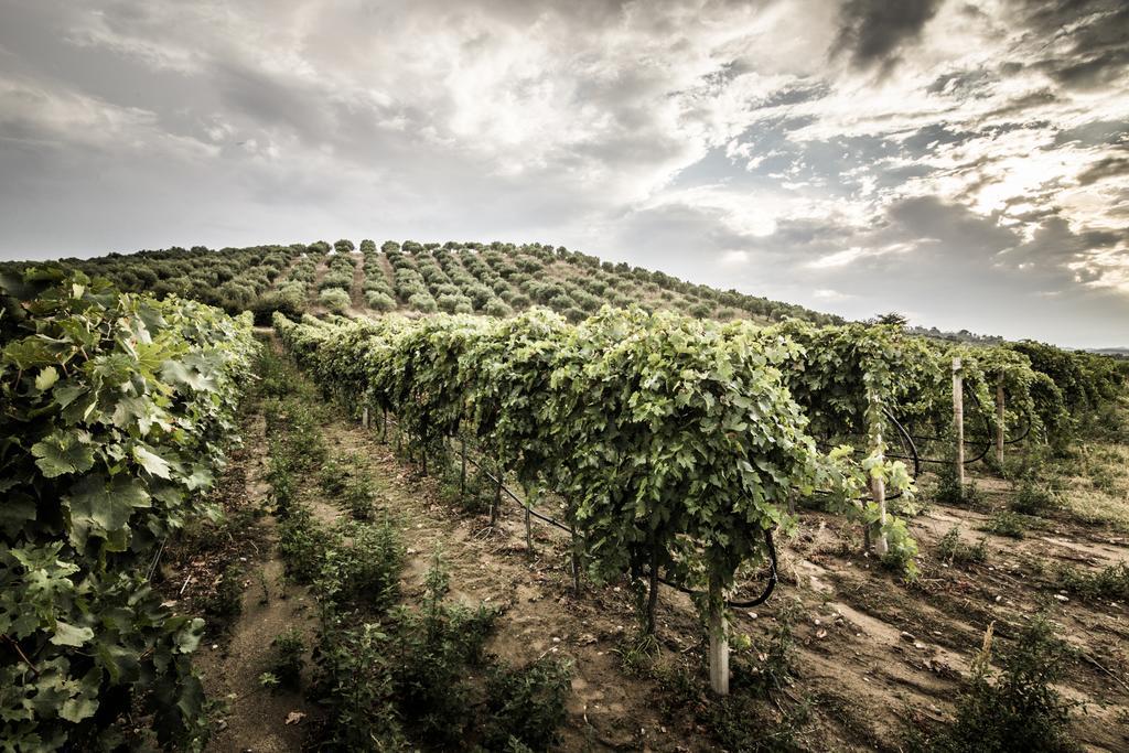 Agriturismo Il Giriatello Crotone Exteriér fotografie