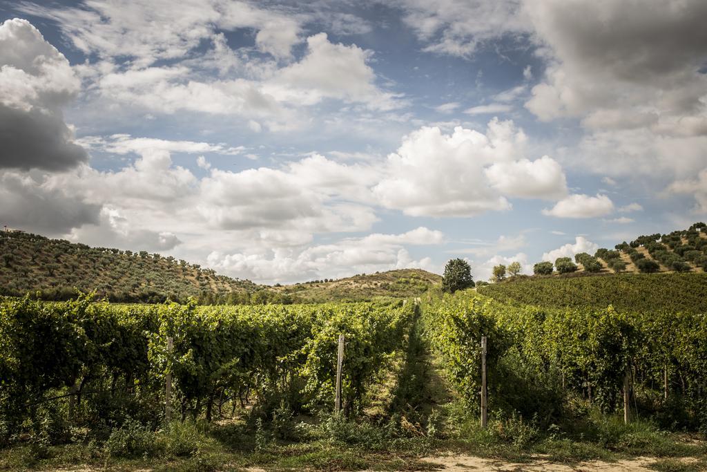 Agriturismo Il Giriatello Crotone Exteriér fotografie