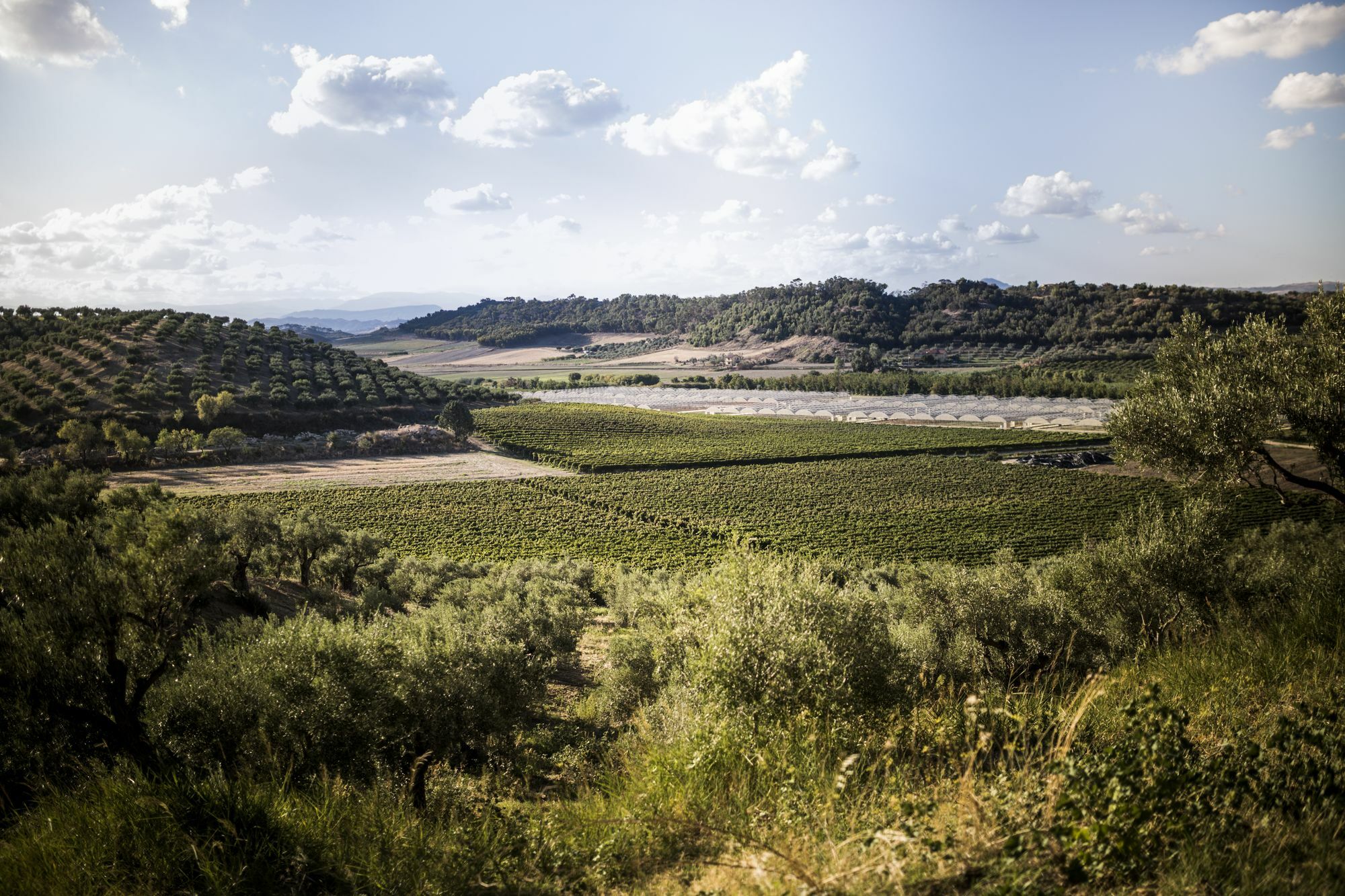 Agriturismo Il Giriatello Crotone Exteriér fotografie